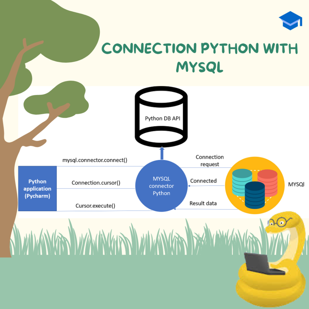 How to connect MySQL with Python?